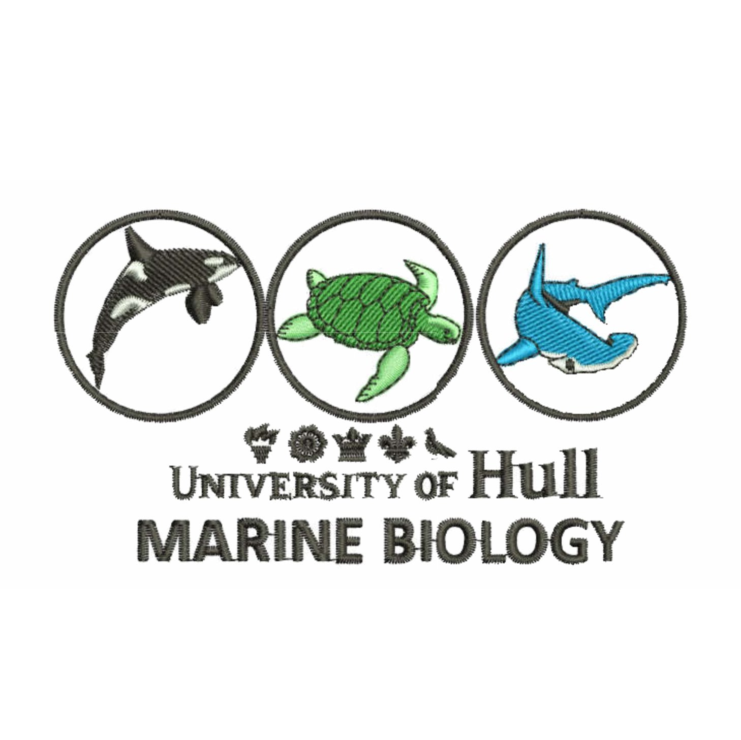 Hull University Marine Biology